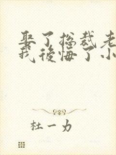 娶了总裁老婆后我后悔了小说