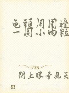 龟头周围边缘有一圈小肉粒封面