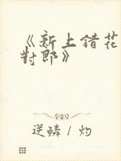 《新上错花轿嫁对郎》封面