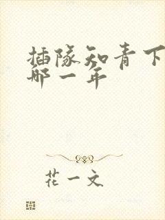 插队知青下乡是哪一年