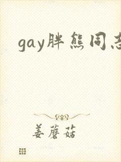 gay胖熊同志