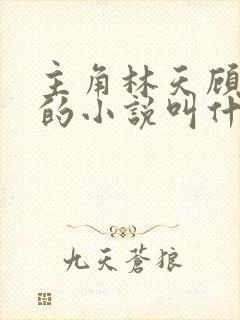 主角林天顾悦瑶的小说叫什么