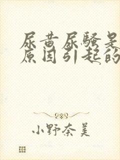 尿黄尿骚是什么原因引起的