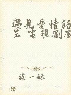 遇见爱情的利先生 电视剧剧情