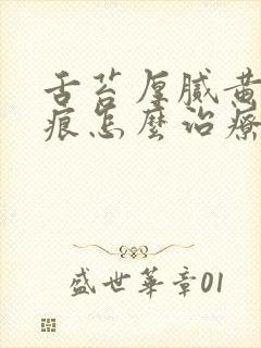 舌苔厚腻黄有齿痕怎么治疗