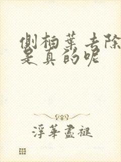 侧柏叶去除白发是真的呢