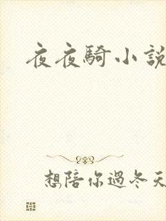 夜夜骑小说