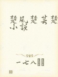 楚风楚芸楚鸿飞小说封面