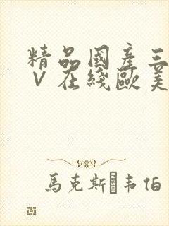 精品国产三级a∨在线欧美封面