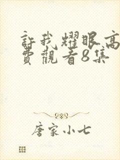 许我耀眼高清免费观看8集封面