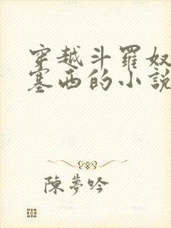 穿越斗罗奴役波塞西的小说