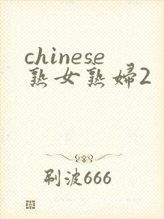 chinese熟女熟妇2