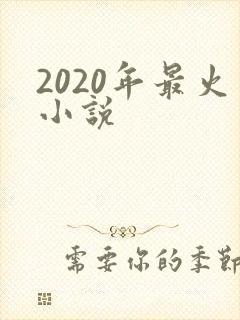 2020年最火小说