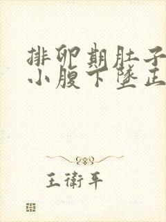 排卵期肚子胀痛小腹下坠正常吗封面