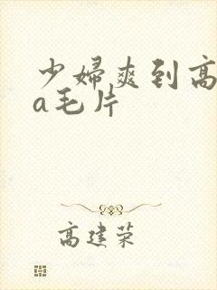 少妇爽到高潮的a毛片