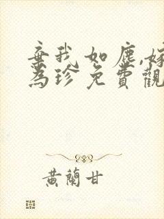 弃我如尘,嫁你为珍免费观看