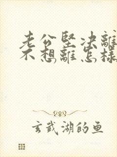 老公坚决离婚我不想离怎样解决封面