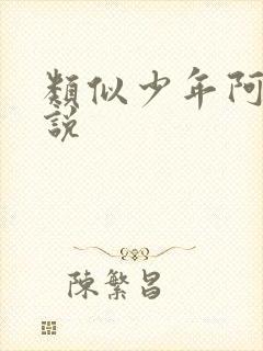 类似少年阿宾小说封面