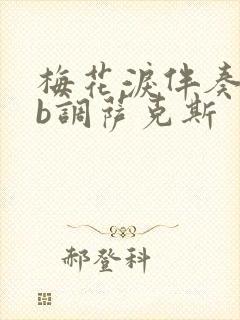 梅花泪伴奏曲降b调萨克斯