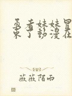 勇者妹妹冒险结束了动漫在线观看封面