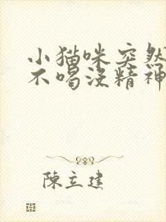 小猫咪突然不吃不喝没精神只趴着