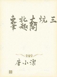 东北大炕三部曲笔趣阁