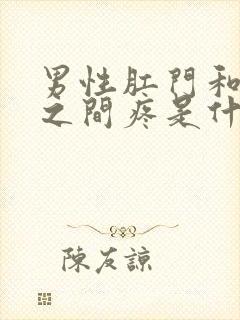 男性肛门和尿道之间疼是什么原因