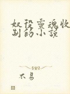 奴役灵魂收服控制的小说
