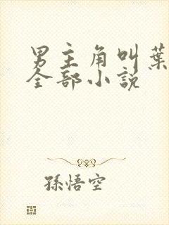 男主角叫叶辰的全部小说