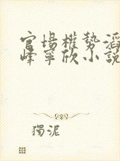 官场权势滔天林峰宁欣小说道