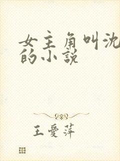 女主角叫沈清澜的小说