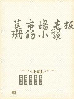 菜市场老板与芷珊的小说封面