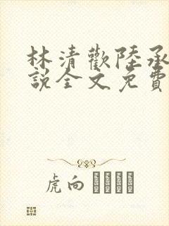 林清欢陆承洲小说全文免费阅读