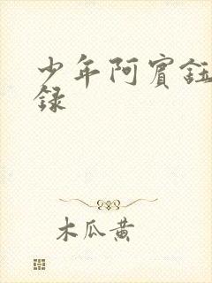 少年阿宾钰慧目录