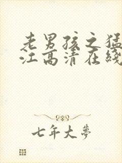 老男孩之猛龙过江高清在线观看封面