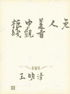 柜中美人免费在线观看封面