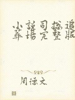 小说司总追妻火葬场完整版