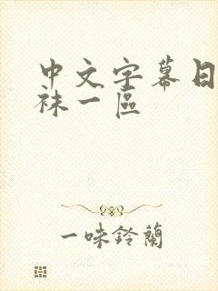 中文字幕日韩丝袜一区