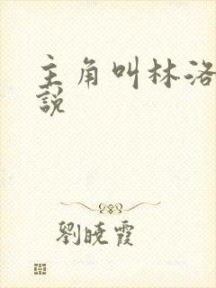 主角叫林洛的小说封面