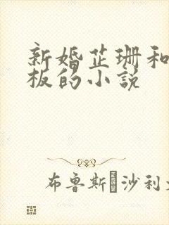 新婚芷珊和菜老板的小说