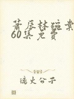 萧辰林碗棠短剧60集免费封面