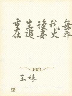 重生后我每天都在追妻火葬场