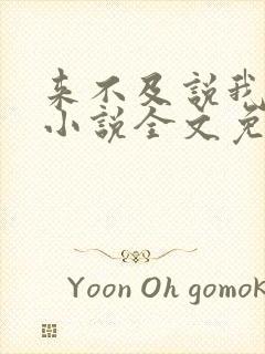 来不及说我爱你小说全文免费阅读