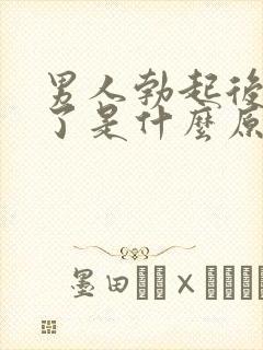 男人勃起后又软了是什么原因封面