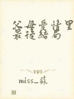 父母爱情里安晨最后结局封面