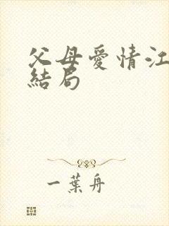 父母爱情江卫民结局封面