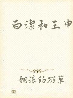 白洁和王申小说
