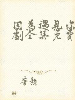 因为遇见你电视剧全集免费播放