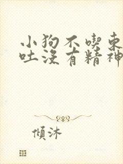 小狗不吃东西呕吐没有精神怎么办