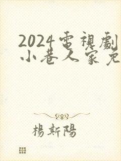2024电视剧小巷人家免费播放封面
